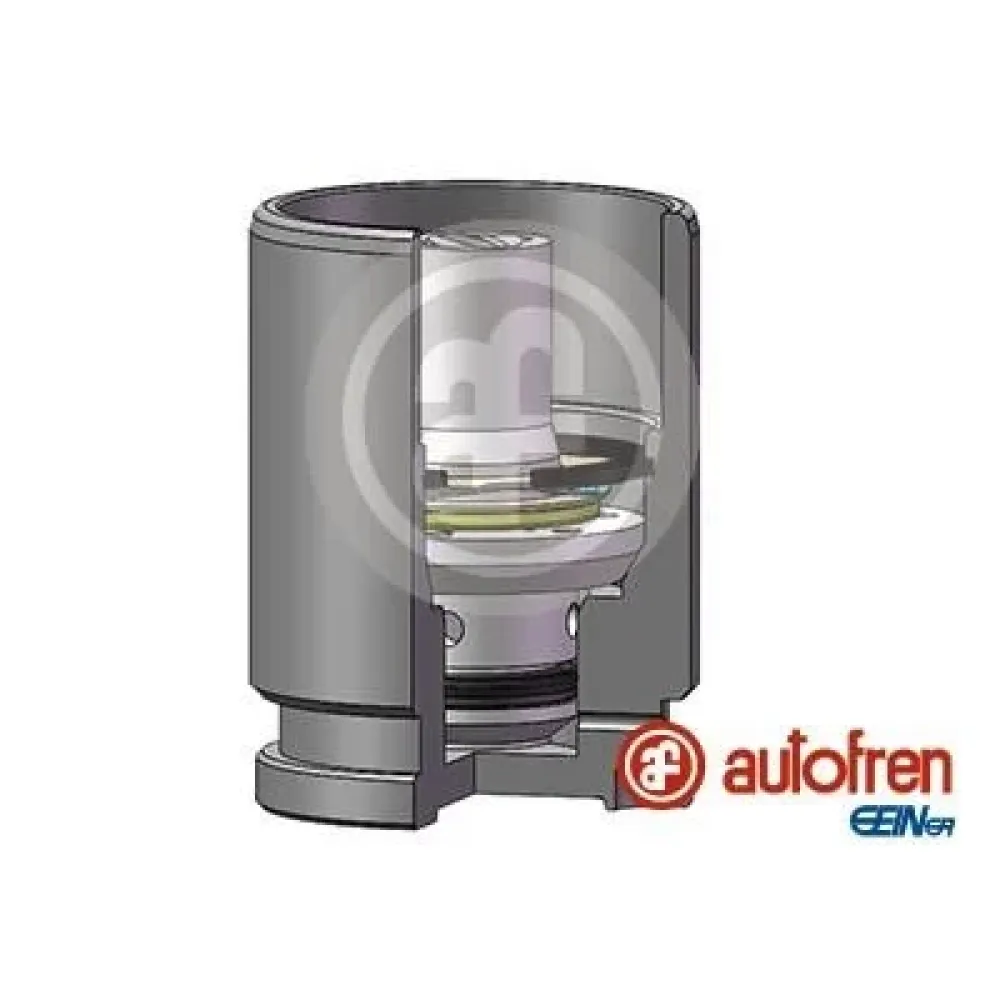 Поршень супорта AUTOFREN SEINSA d02519k