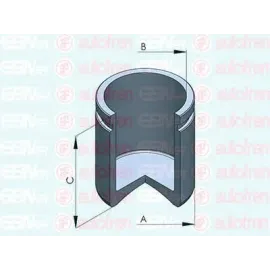 Поршень заднего тормозного суппорта AUTOFREN SEINSA d025576