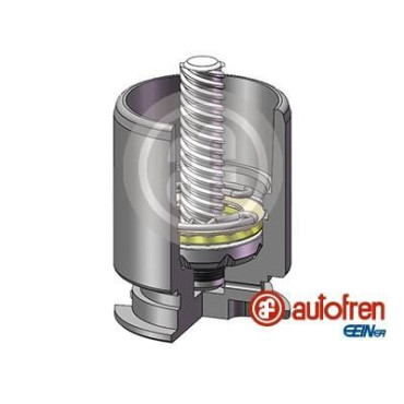 Поршень супорта задній AUTOFREN SEINSA d02554lk