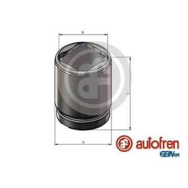 Поршень супорта задній AUTOFREN SEINSA d025684