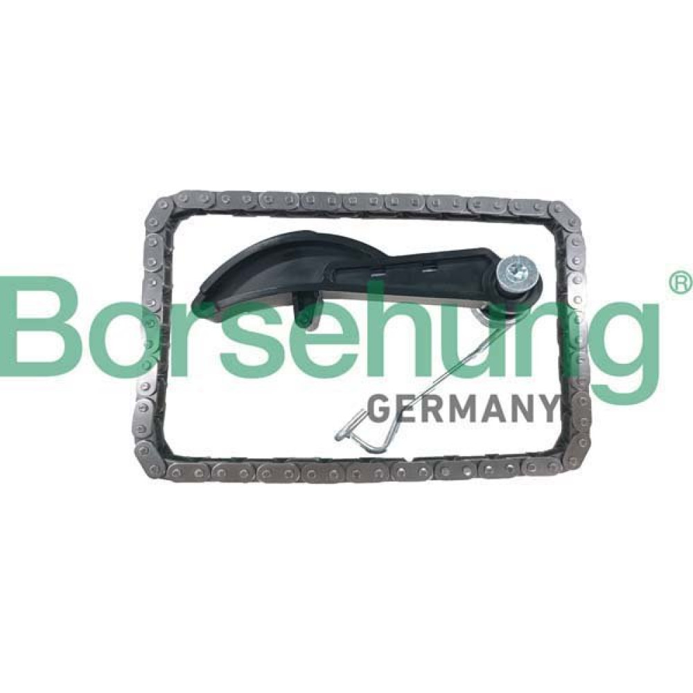 Комплект цепи ГРМ BORSEHUNG b10251