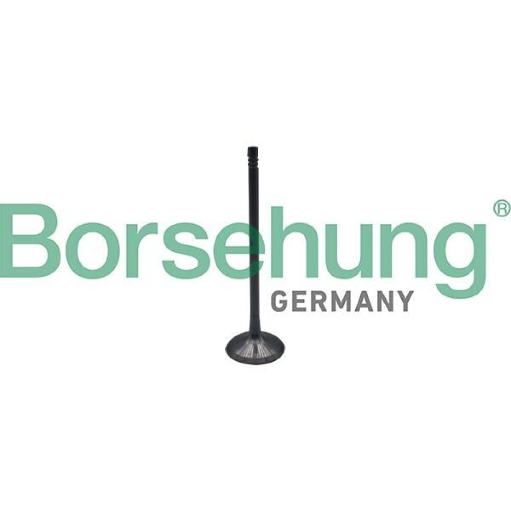 Впускной клапан BORSEHUNG b10323