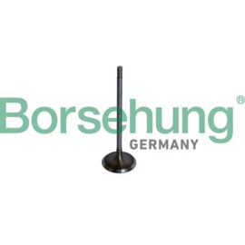 Впускний клапан OE BORSEHUNG b10325