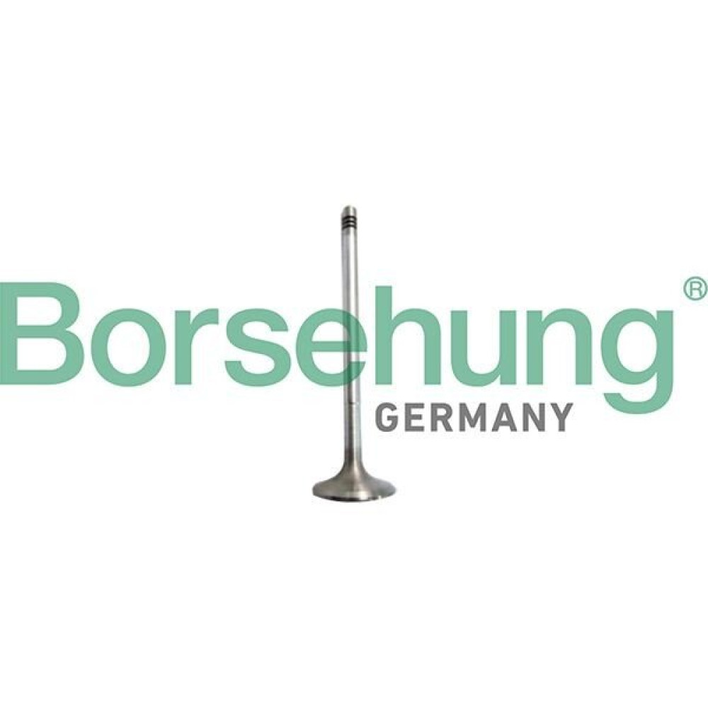 Впускний клапан BORSEHUNG b10327