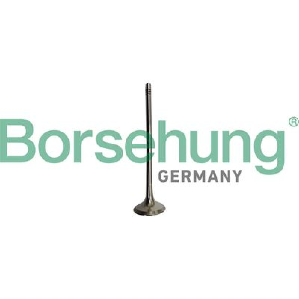 Випускний клапан двигуна BORSEHUNG b10335