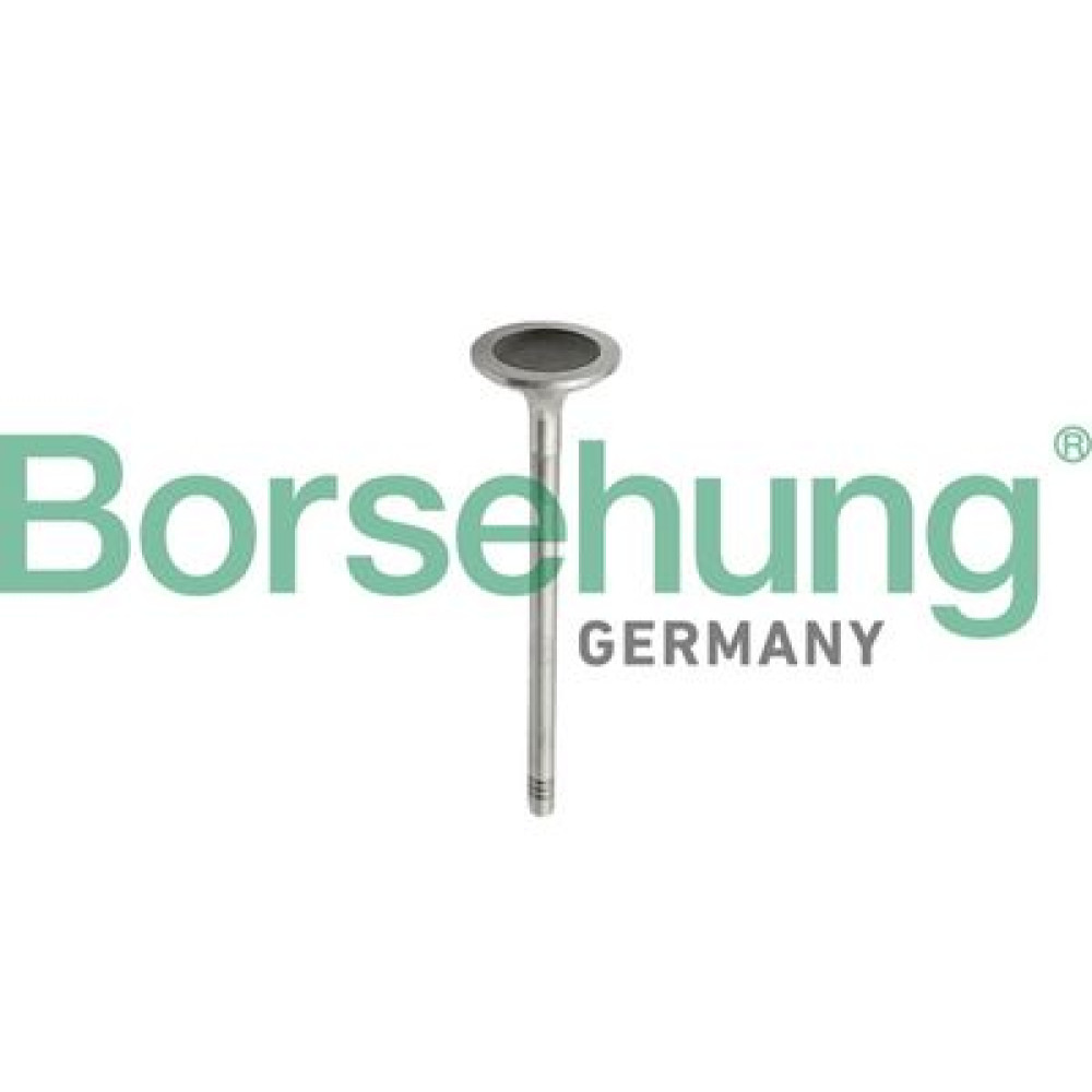 Впускной клапан двигателя BORSEHUNG b10343