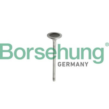 Впускной клапан двигателя BORSEHUNG b10343
