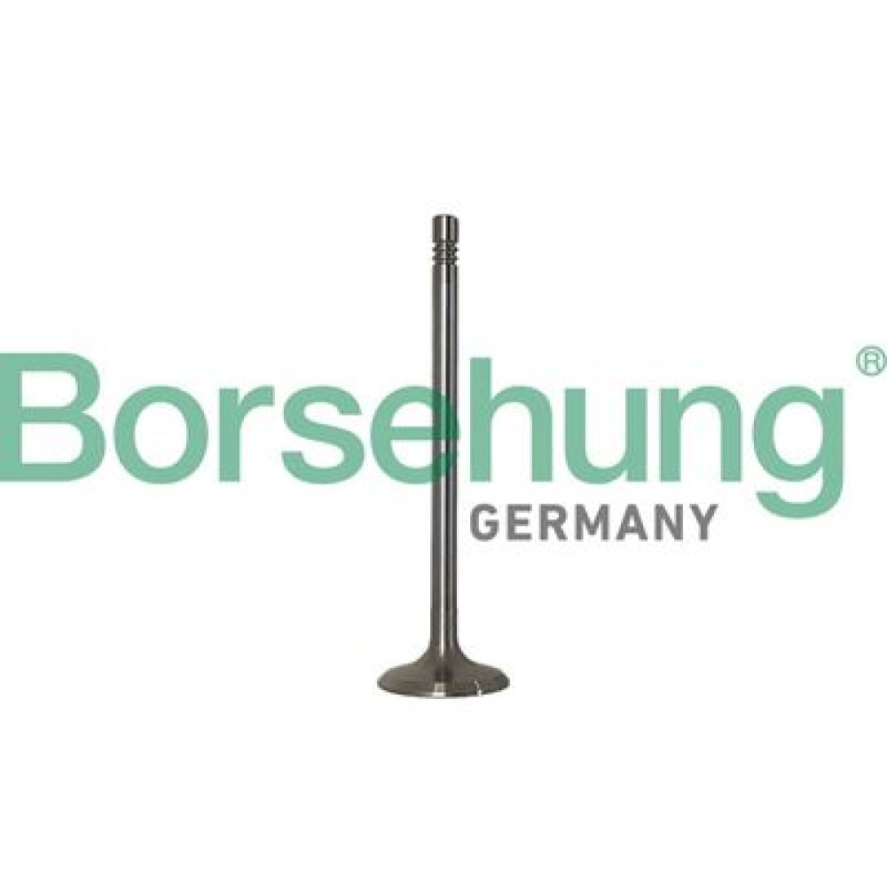 Впускной клапан двигателя BORSEHUNG b10347