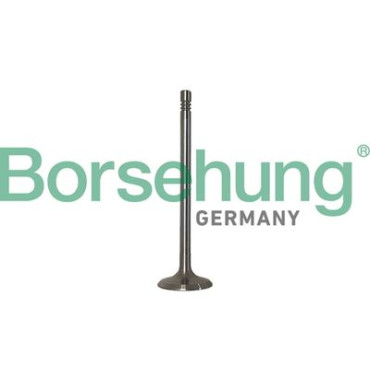 Впускной клапан двигателя BORSEHUNG b10347