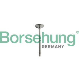 Впускной клапан двигателя BORSEHUNG b10351
