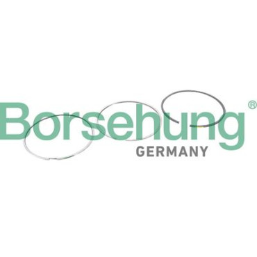 Кольца поршневые BORSEHUNG b10364