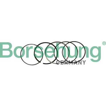 Комплект поршневых колец BORSEHUNG b10369