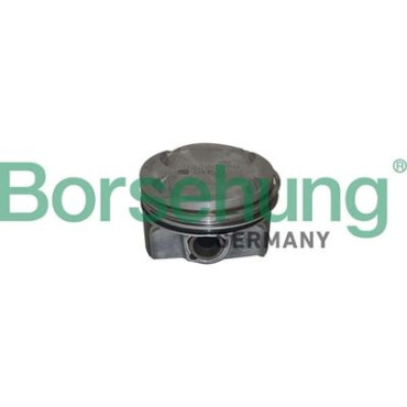 Поршень в сборе BORSEHUNG b11135