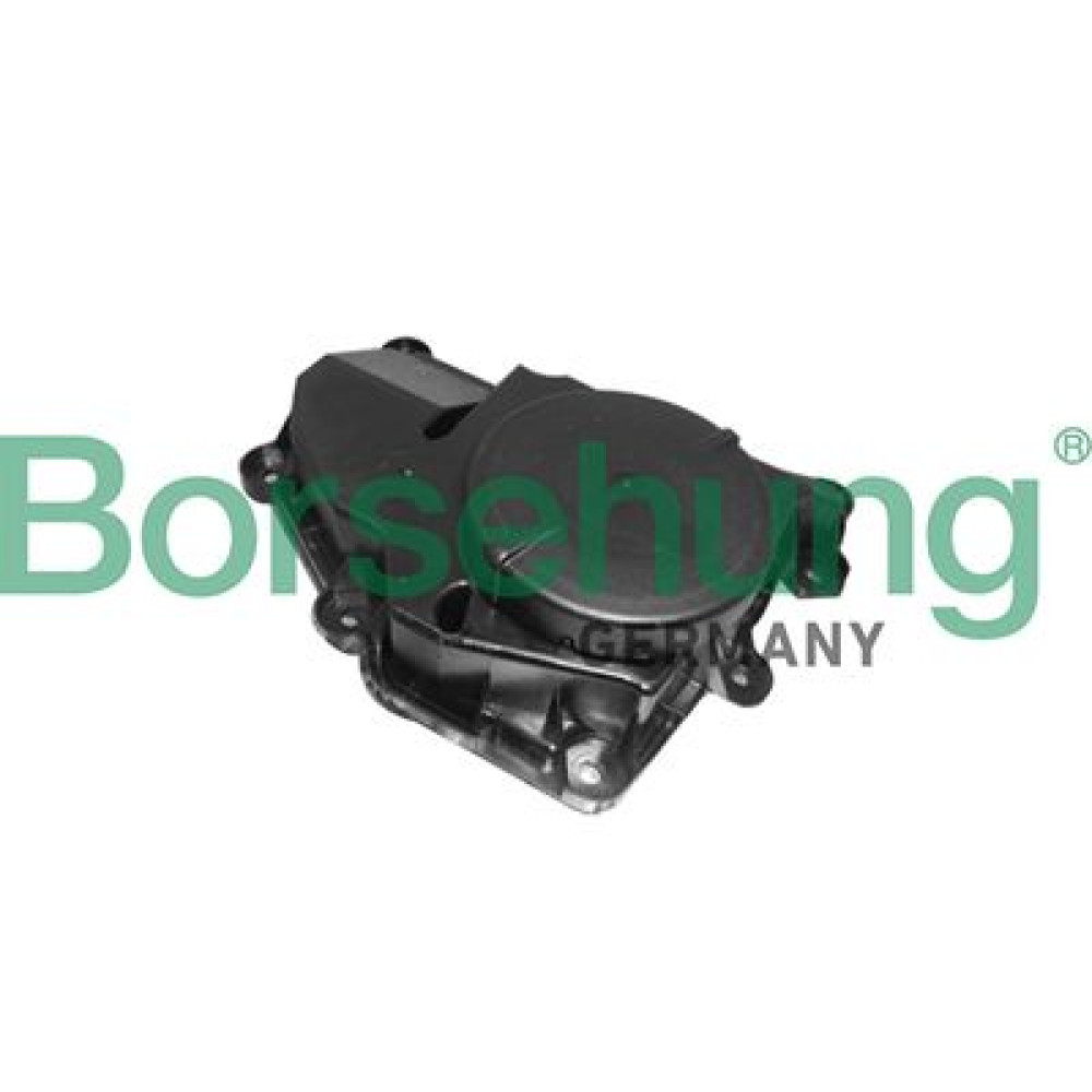 Сепаратор масляный BORSEHUNG b11918