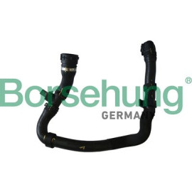шланг водяний з Датчиком температури (OE) BORSEHUNG b11960
