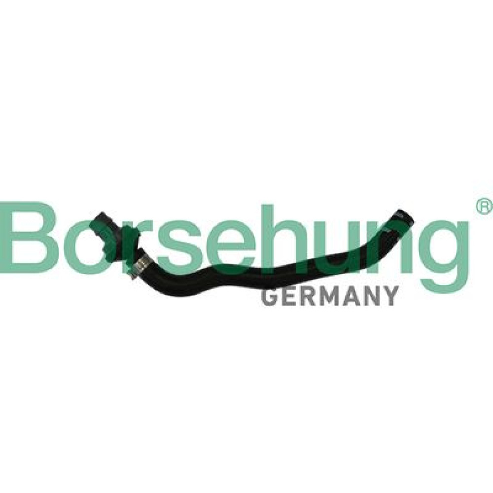 зєднувальний шланг з зворотним клапаном (OE) BORSEHUNG b11971