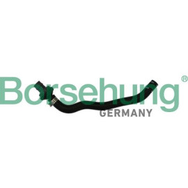 зєднувальний шланг з зворотним клапаном (OE) BORSEHUNG b11971