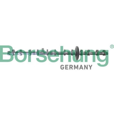 Ексцентриковий вал BORSEHUNG b12296