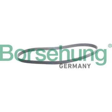 Поликлиновый BORSEHUNG b12387