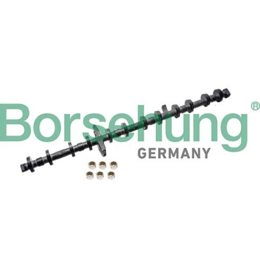 Ексцентриковий вал BORSEHUNG b12678