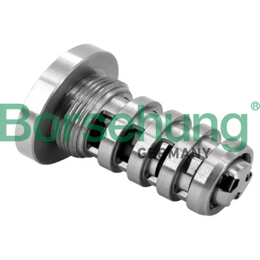Клапан контролю масла для VVT BORSEHUNG b12694