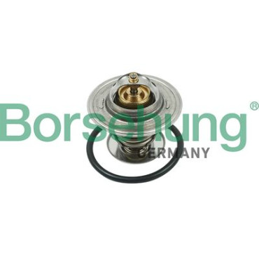 Термостат BORSEHUNG b13141