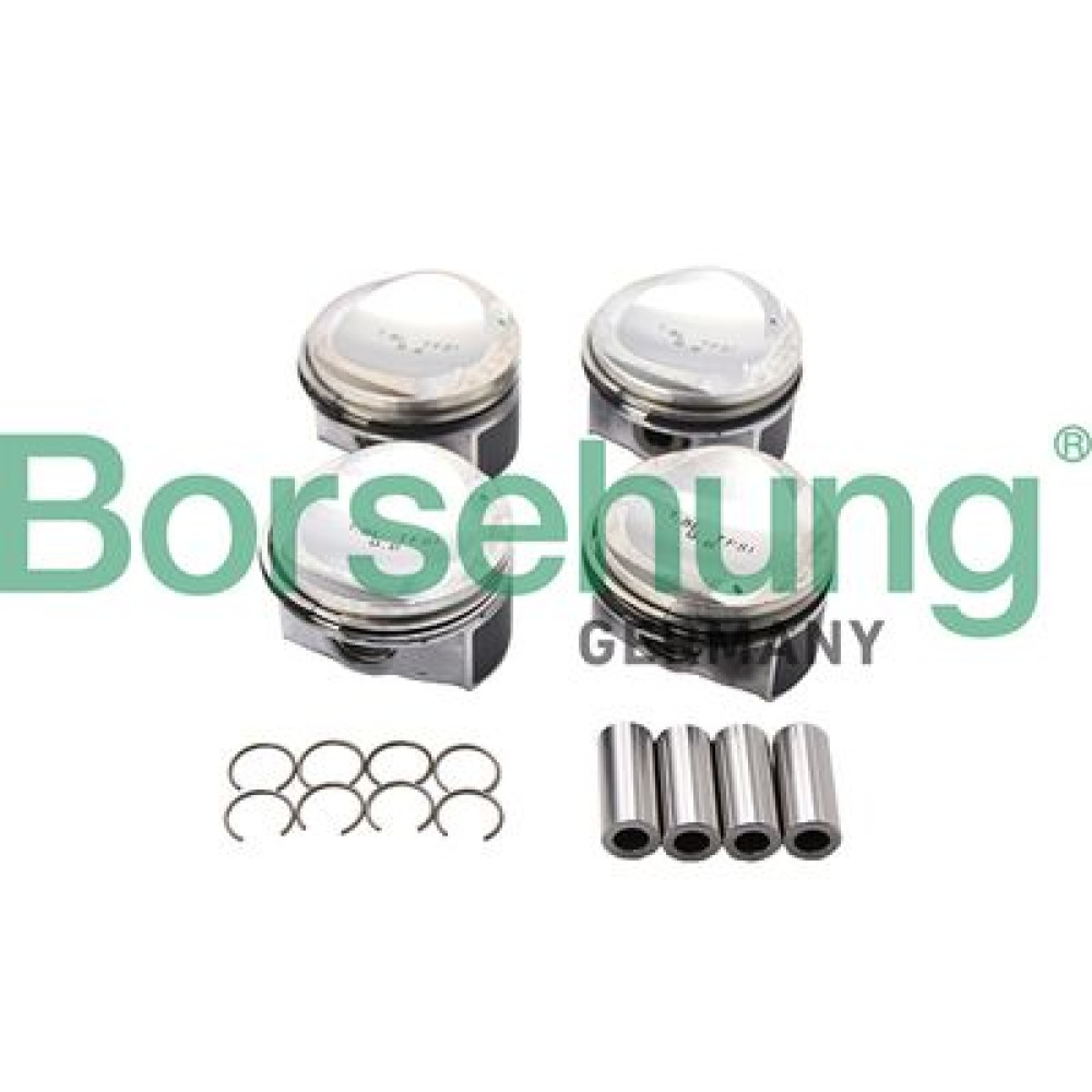 Комплект поршней 4 шт BORSEHUNG b13582