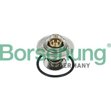 Термостат 71? BORSEHUNG b18231