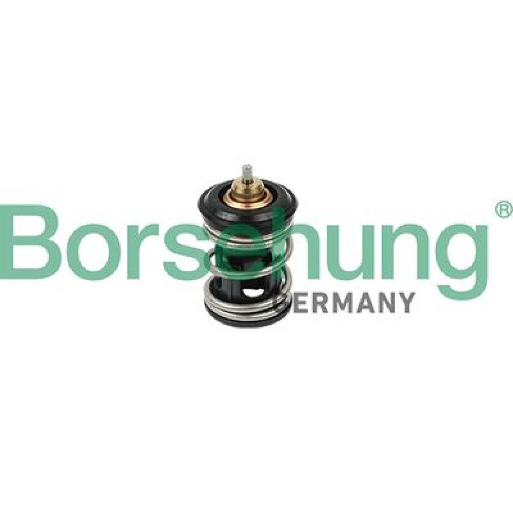 Клапан системи охолодження BORSEHUNG b18261