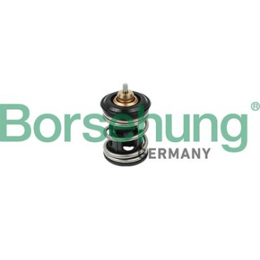 Клапан системи охолодження BORSEHUNG b18261