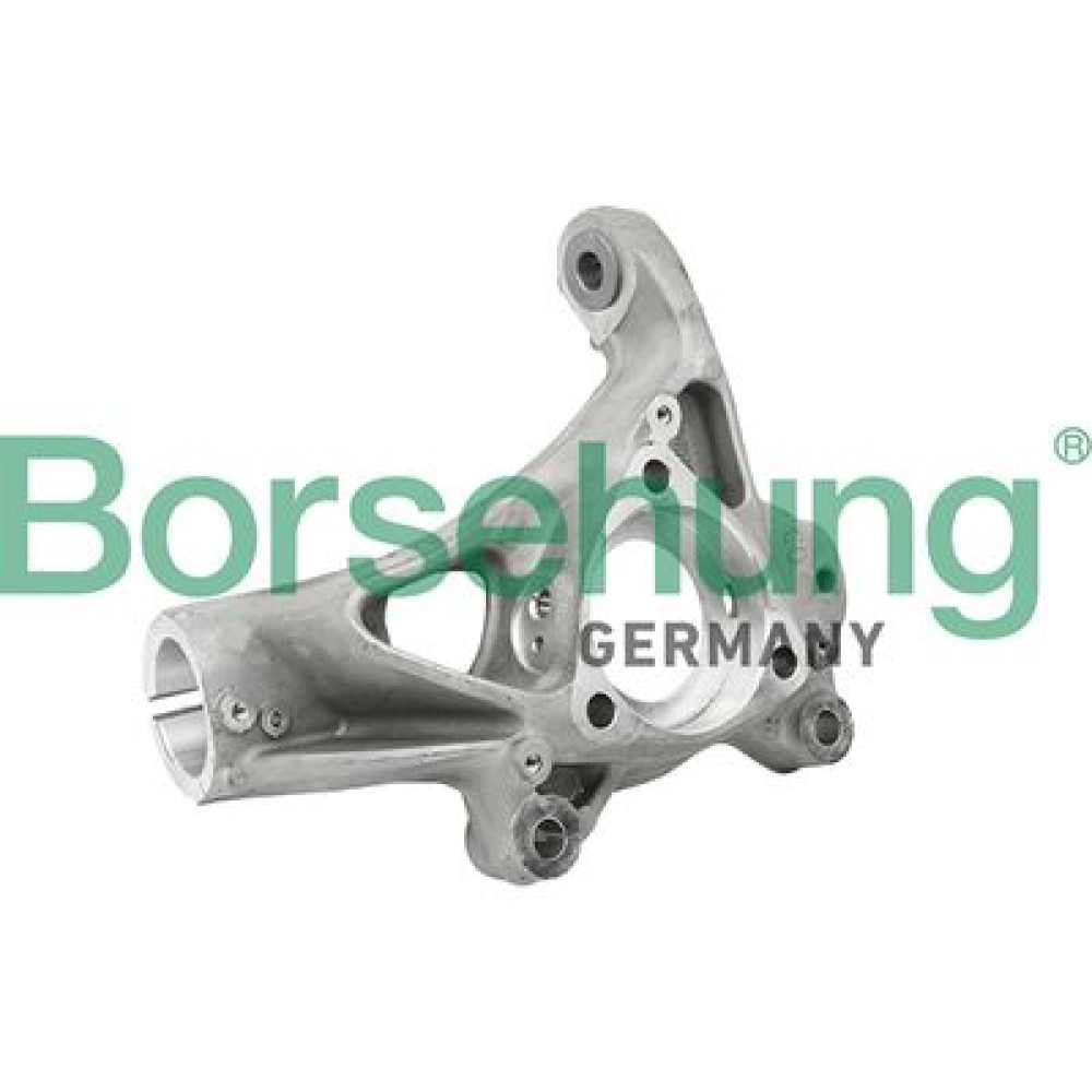 цапфа поворотна (OE) BORSEHUNG b18510