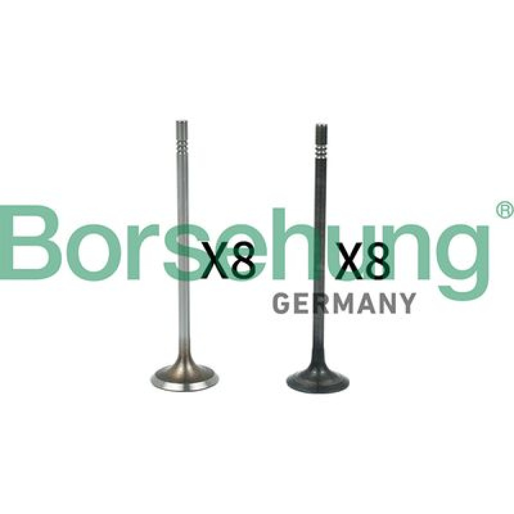 Клапаны комплект 8*8 BORSEHUNG b18631