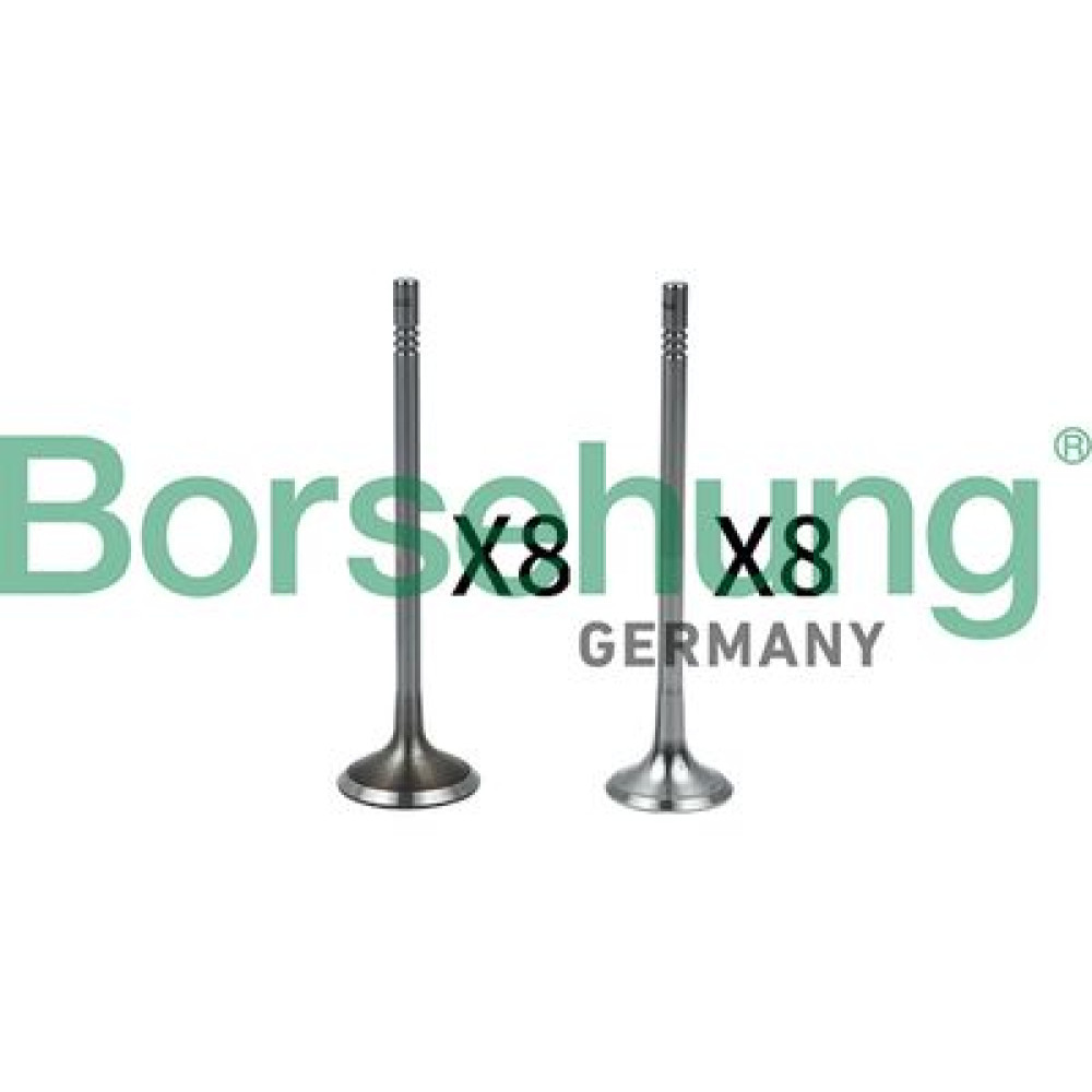 Клапани комплект 8*8 BORSEHUNG b18633