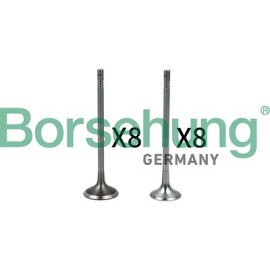Клапани комплект 8*8 BORSEHUNG b18633