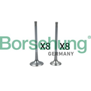 Клапан впускной/выпуск BORSEHUNG b18637