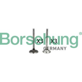 Комплект клапанів 3*3 BORSEHUNG b18765