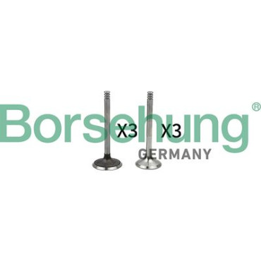 Комплект клапанів 3*3 BORSEHUNG b18765