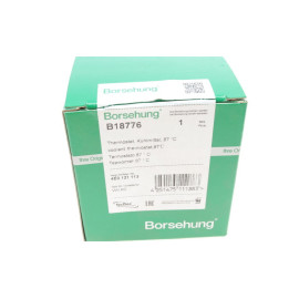 Термостат 87℃ BORSEHUNG b18776