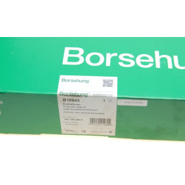Ремкомплект ГРМ BORSEHUNG b18843