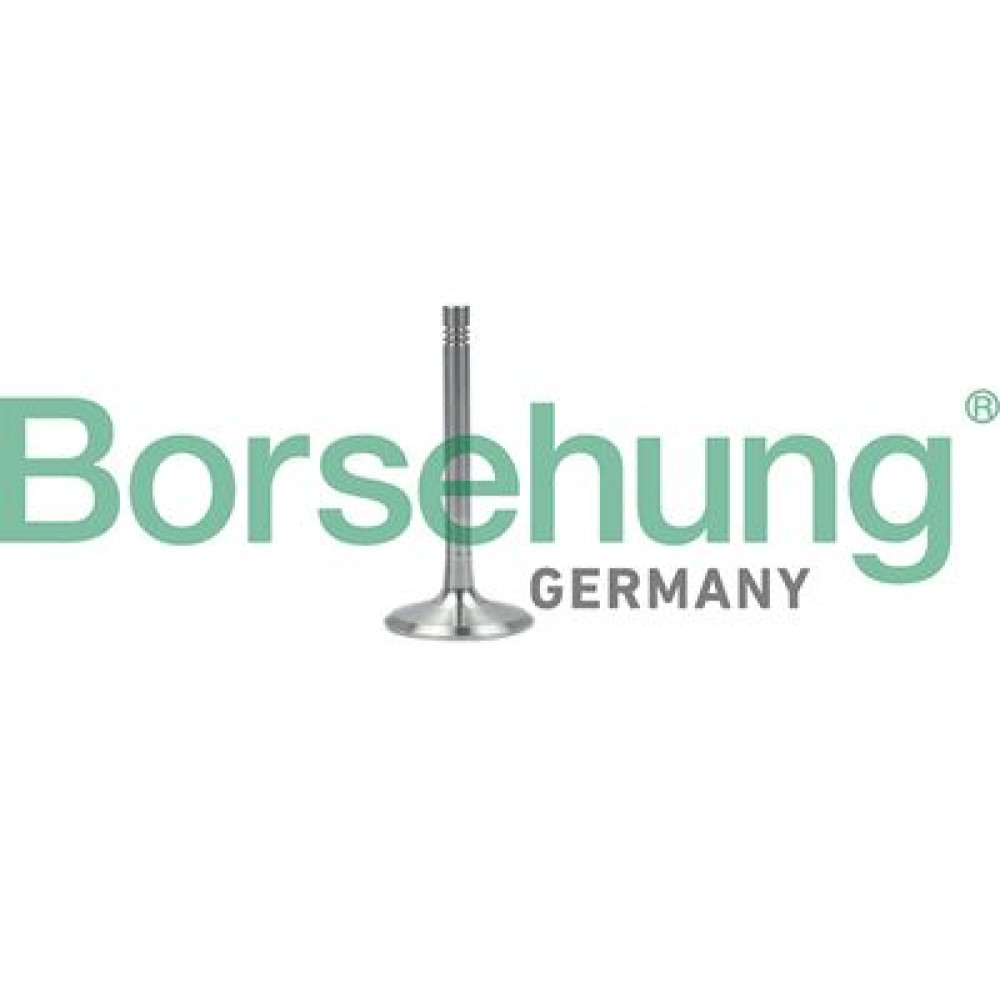 Клапан випускний BORSEHUNG b19001
