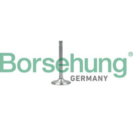 Клапан випускний BORSEHUNG b19001
