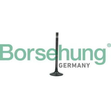 Клапан випускний BORSEHUNG b19006