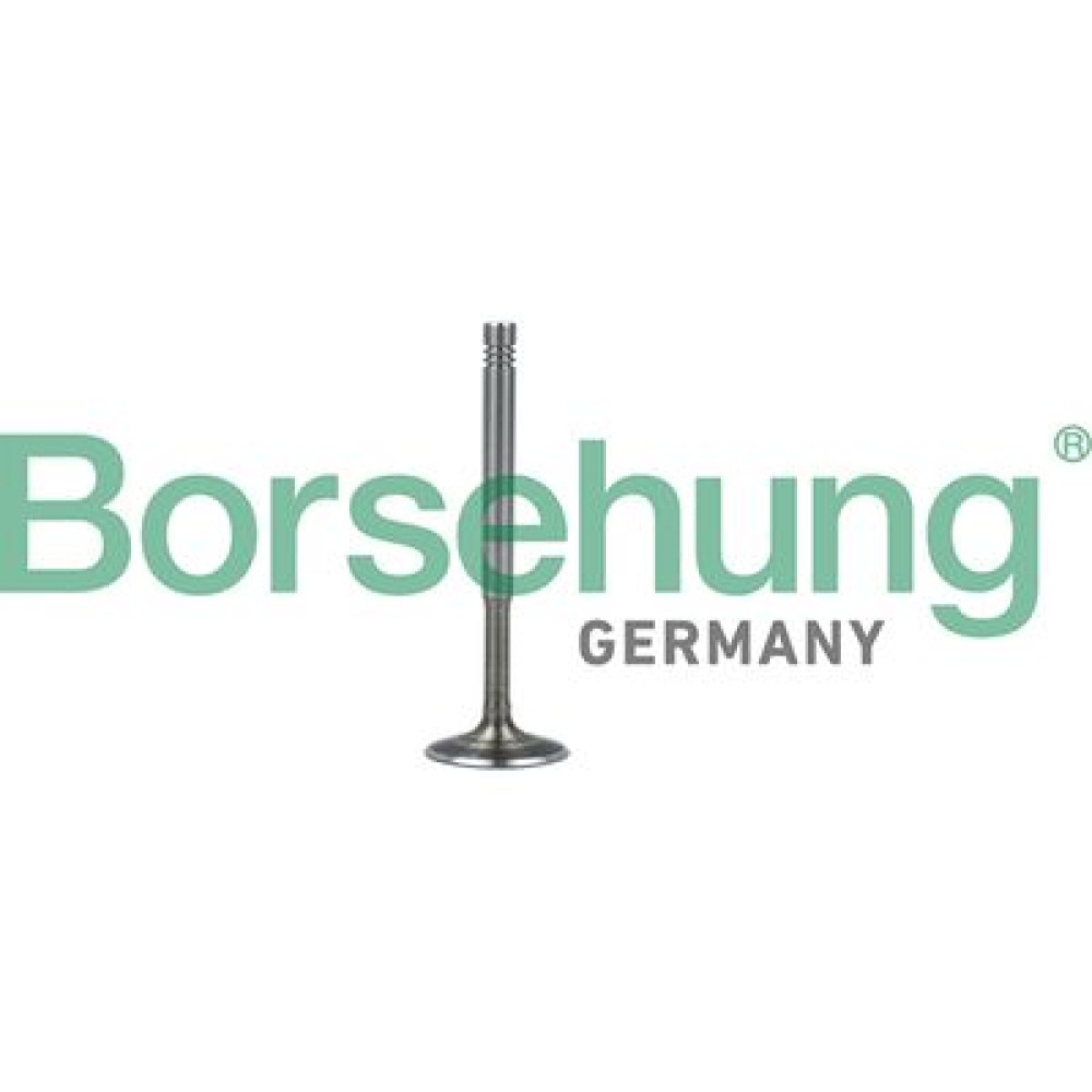 Клапан випускний BORSEHUNG b19010