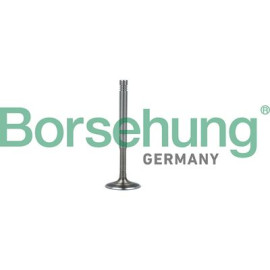 BORSEHUNG b19010 Клапан випускний BORSEHUNG b19010