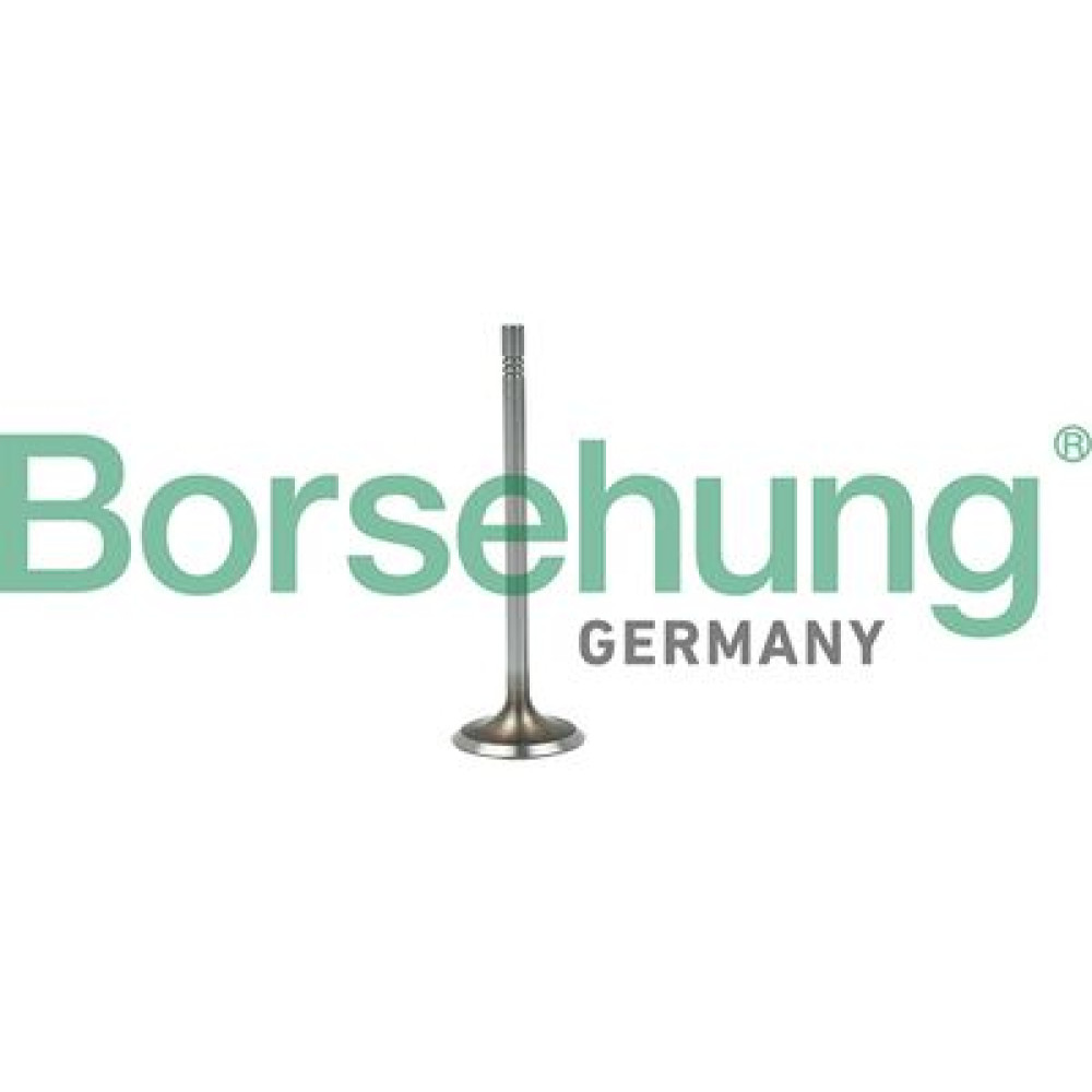 Клапан впускной BORSEHUNG b19015