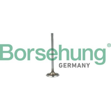 Клапан впускний BORSEHUNG b19015