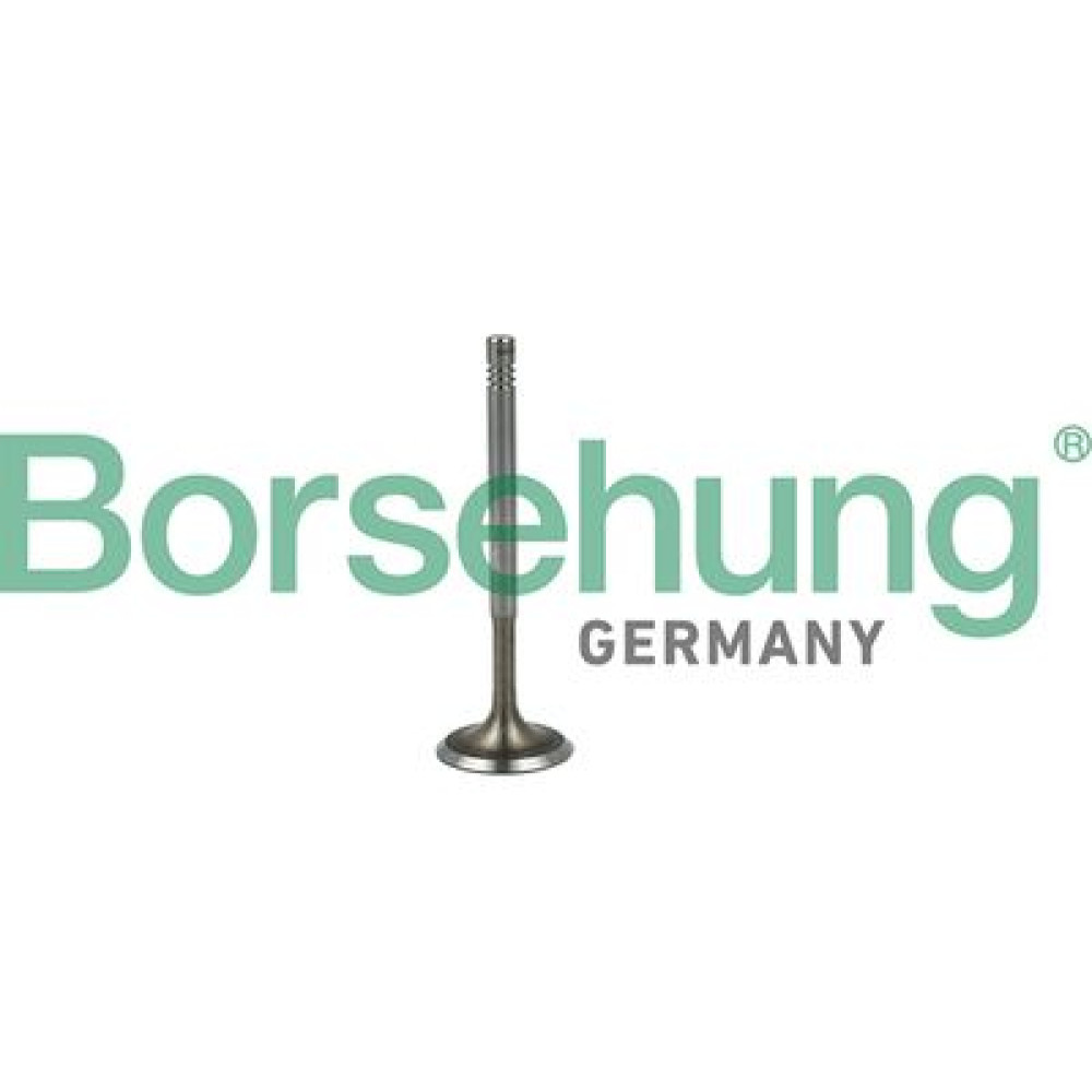 Клапан впускной BORSEHUNG b19019