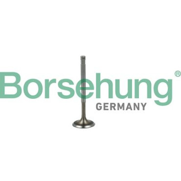 Клапан впускний BORSEHUNG b19019