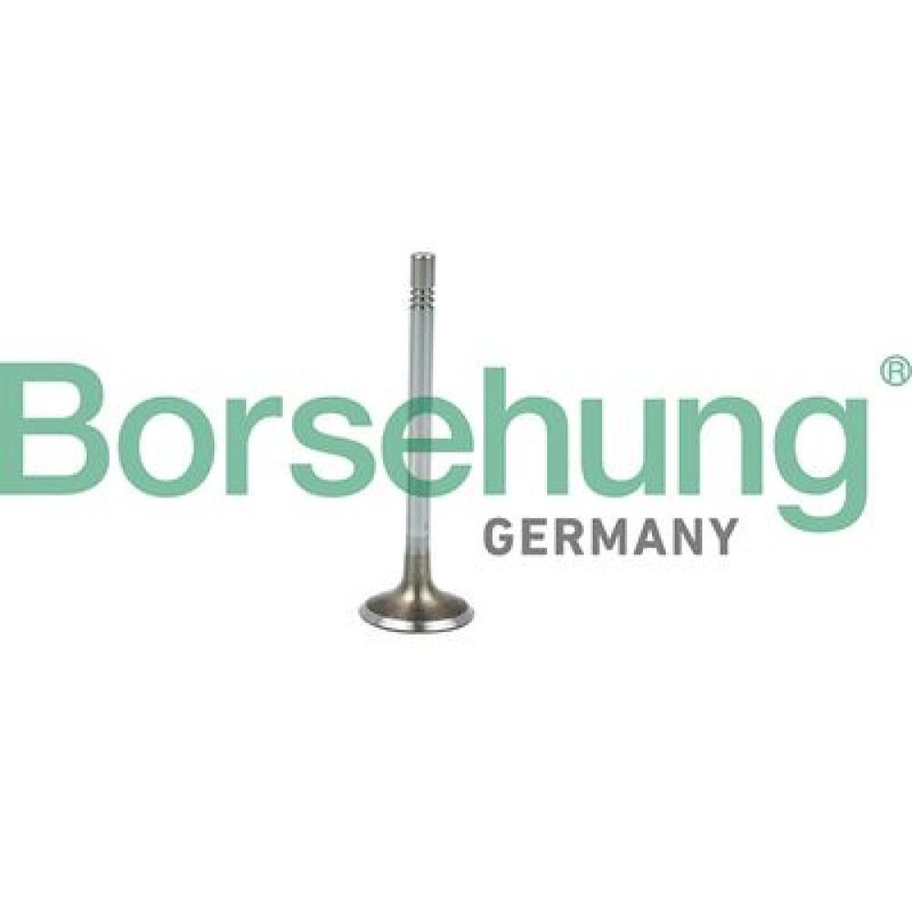 Клапан впускний BORSEHUNG b19021