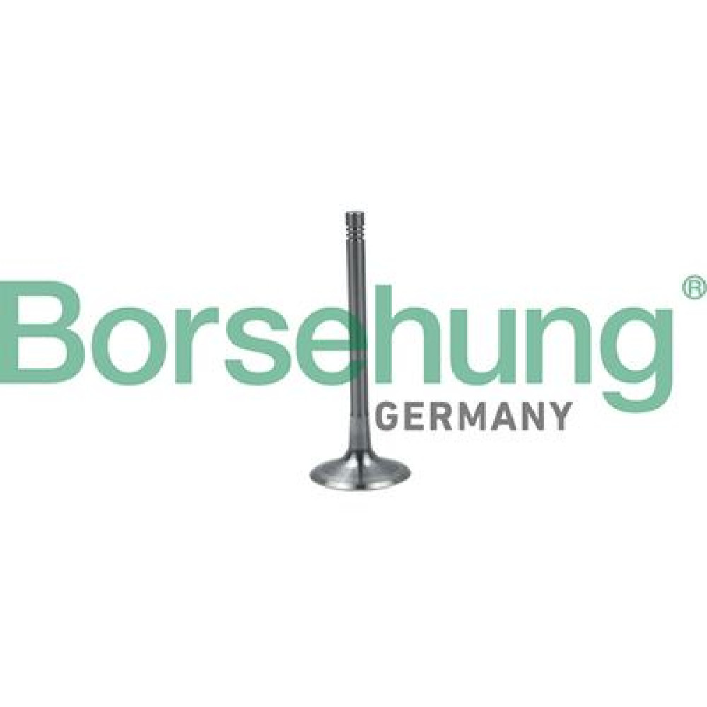 Клапан впускний BORSEHUNG b19024